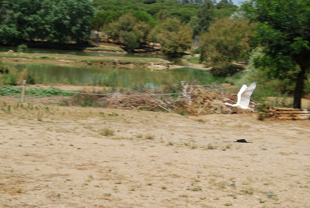 Фото Vivienda Rural el Retorno