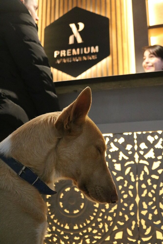 Фото Apartamentos Málaga Premium - Calle San Telmo