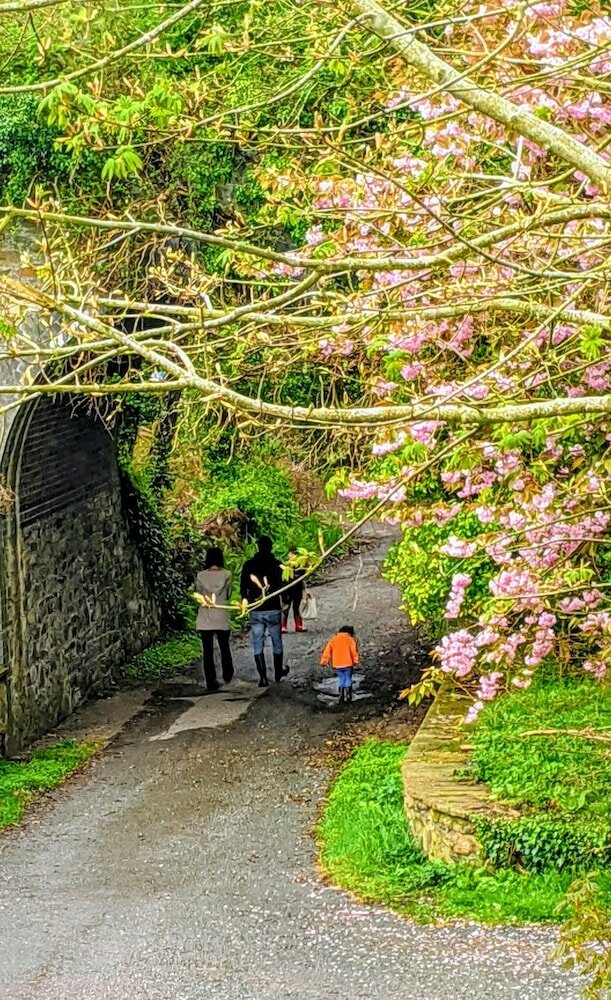 Фото Ivybridge Guest House