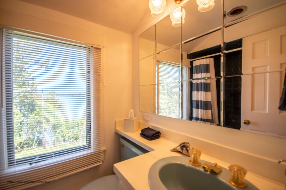 Фото Puffin Rock - New 2022!