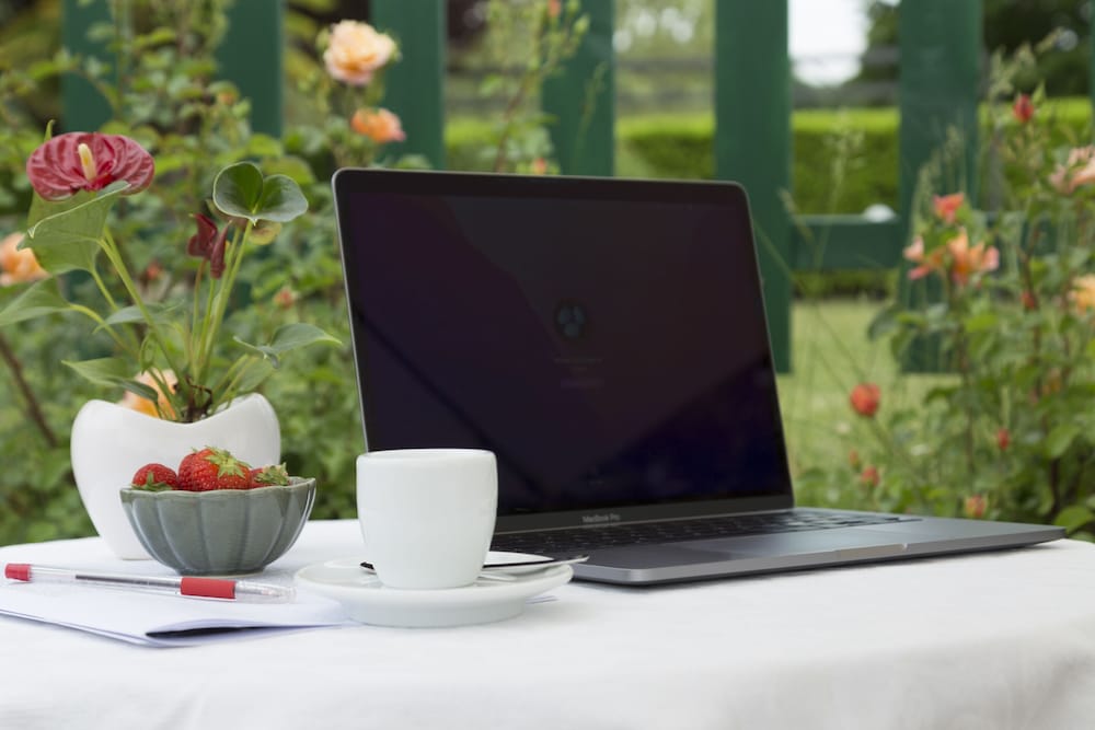 Фото White Tail Organic Farm