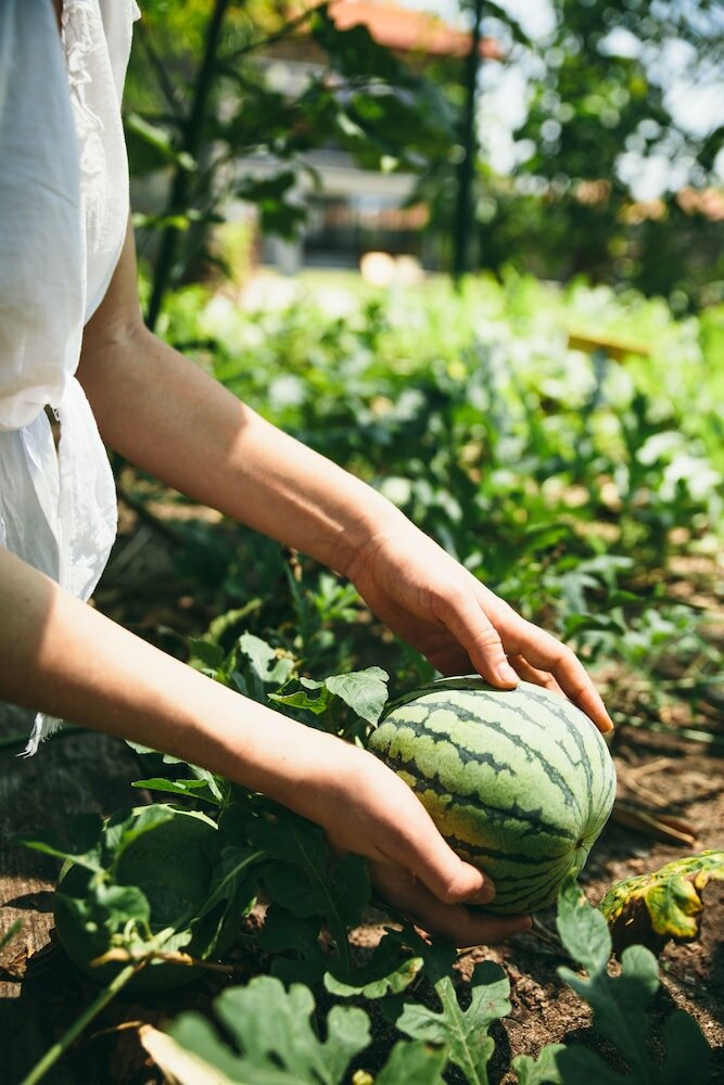 Фото Отель Regenta Arie Lagoon Negombo