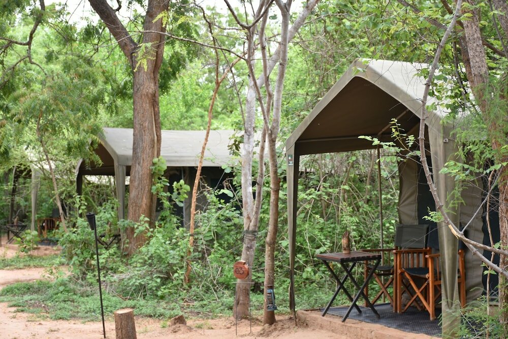 Фото Big Game Yala by Eco Team