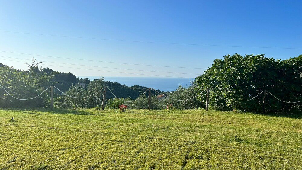 Фото Verde Matematico