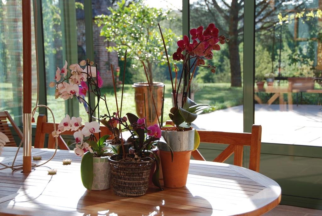 Фото Le Manoir Saint Clair