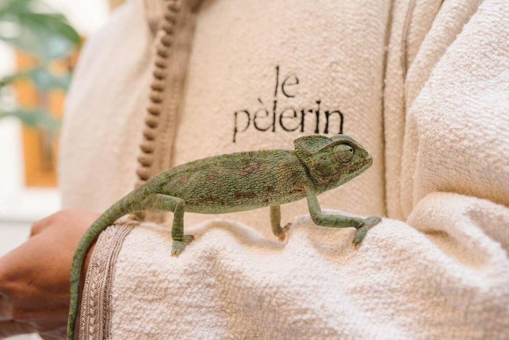 Фото Riad Le Pèlerin