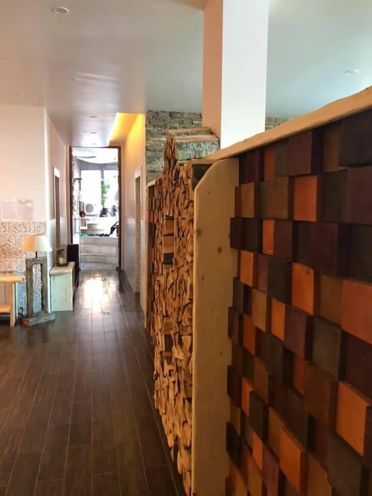 Фото Forest Glade