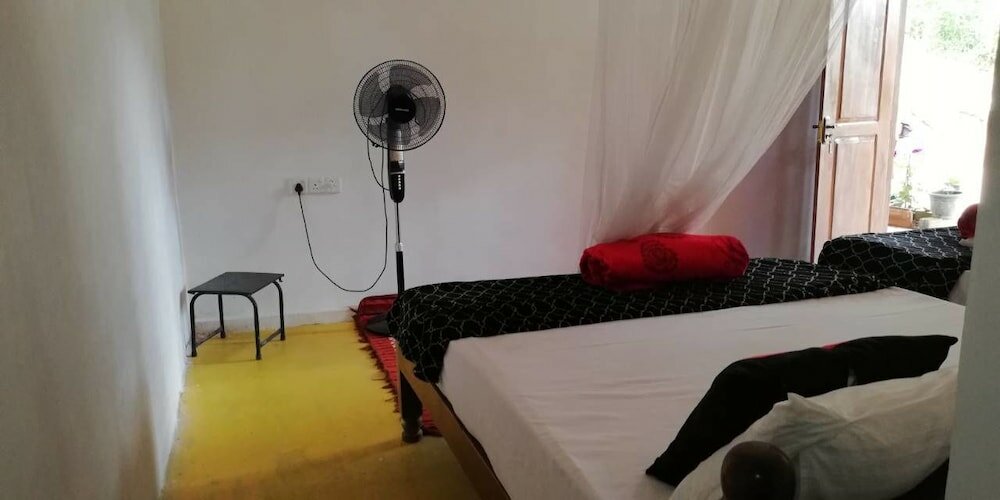 Фото Ella Forest Eco View