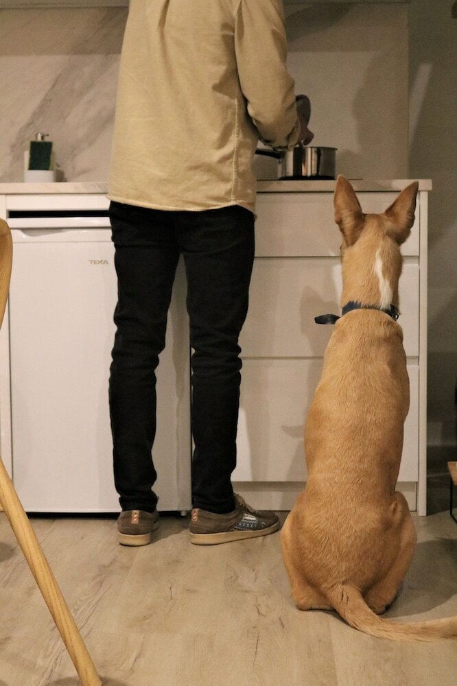 Фото Apartamentos Málaga Premium - Calle San Telmo