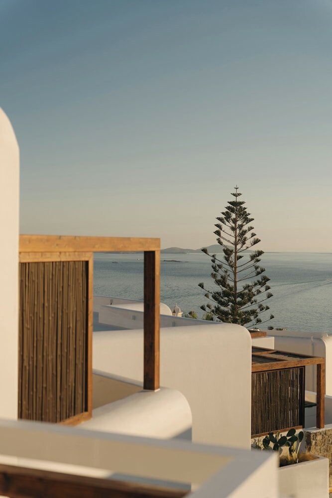 Фото Bard De Sol