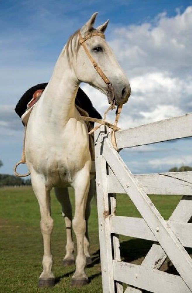 Фото Finca María Cristina