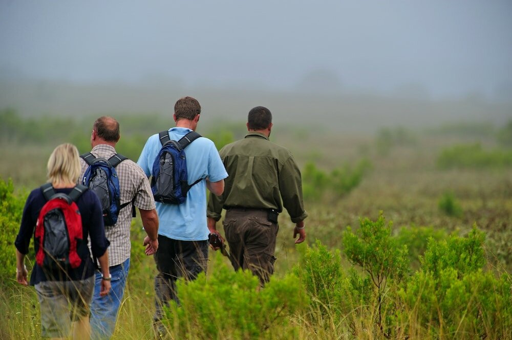 Фото Shamwari Explorer Camp
