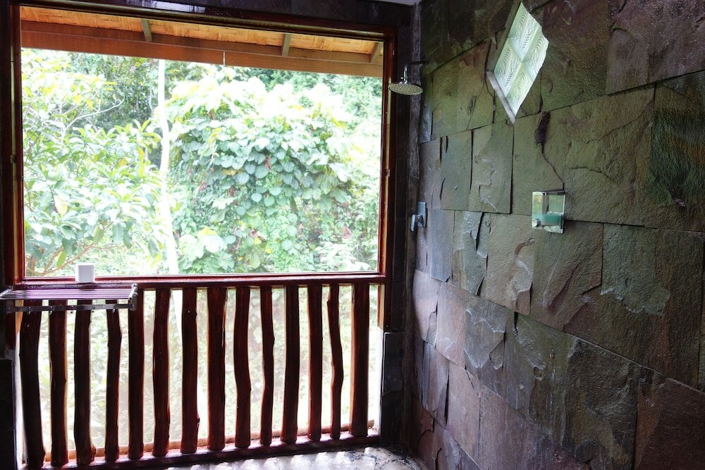 Фото Hotel Orangutan