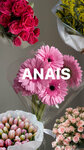 Anais (Marshala Vasilevskogo Street, 5к1), flower shop