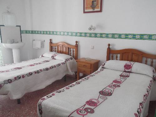 Фото 198157766952