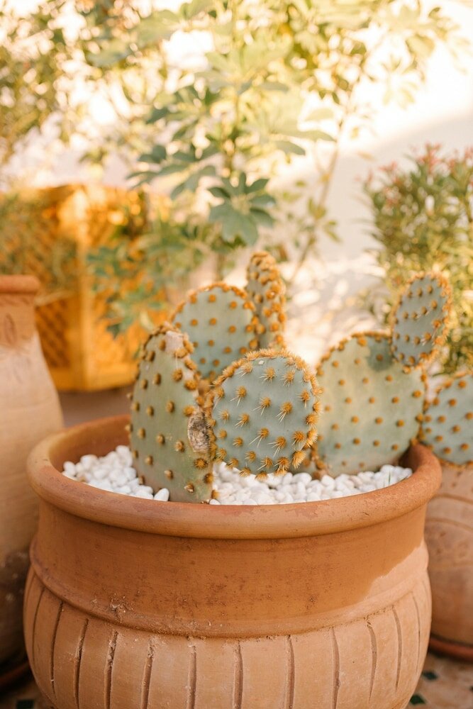 Фото Riad Le Pèlerin