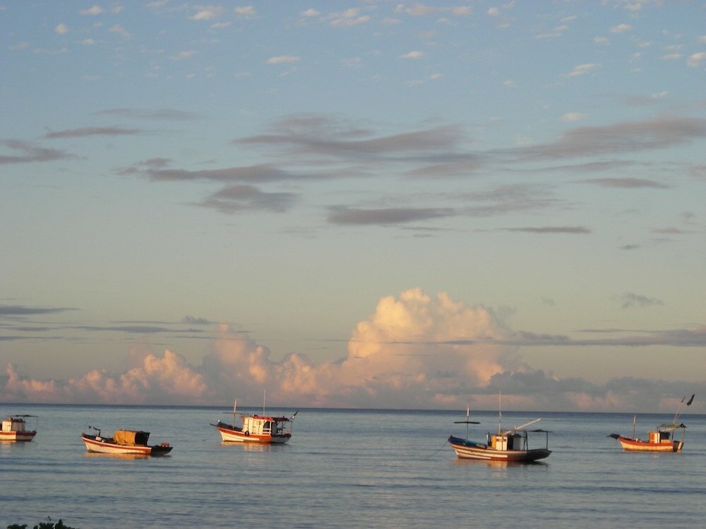 Фото Hotel Vila Naia