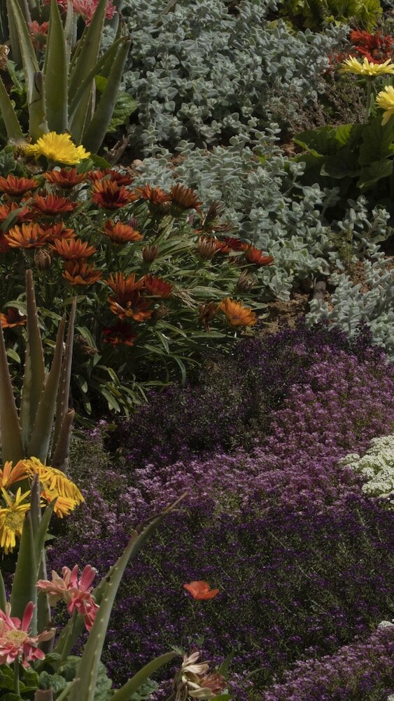 Фото Maleme Mare Beach Resort Hotel