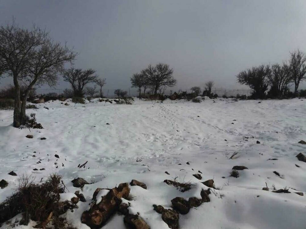 Фото Psiloritis Retreat Hotel