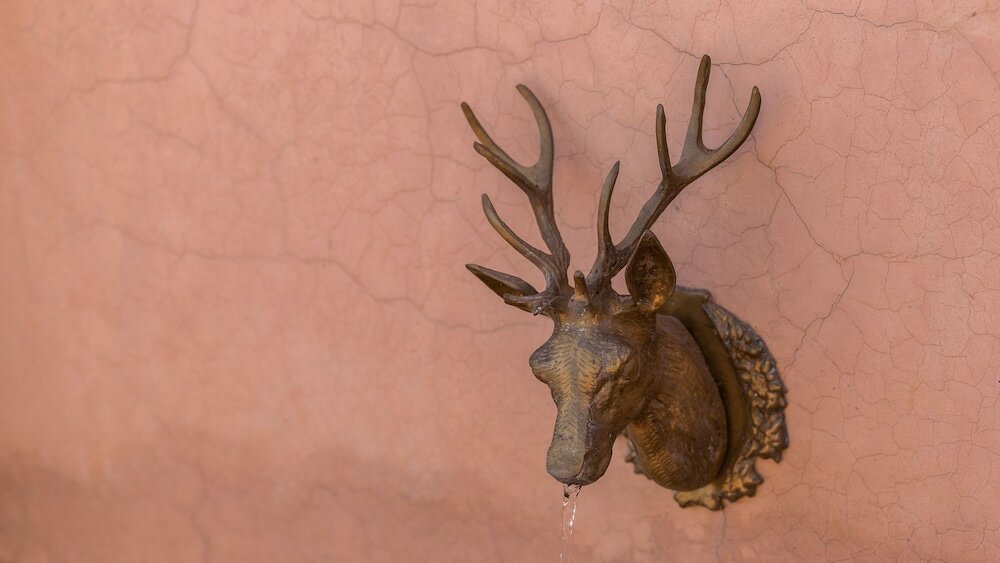 Фото GreenLife Marrakech