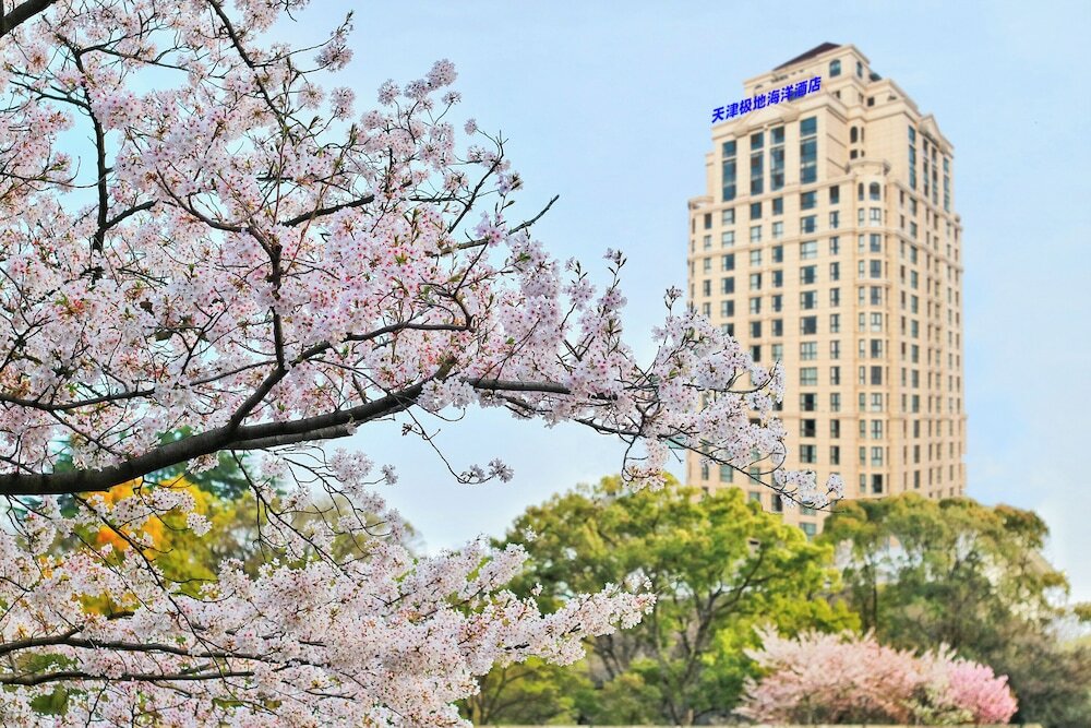 Фото Tianjin Polar Ocean Hotel