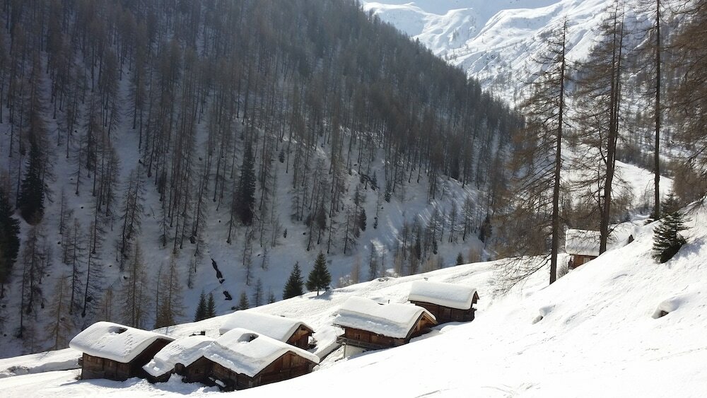 Фото Ferienwohnungen am Berg - Almhütte Alfen