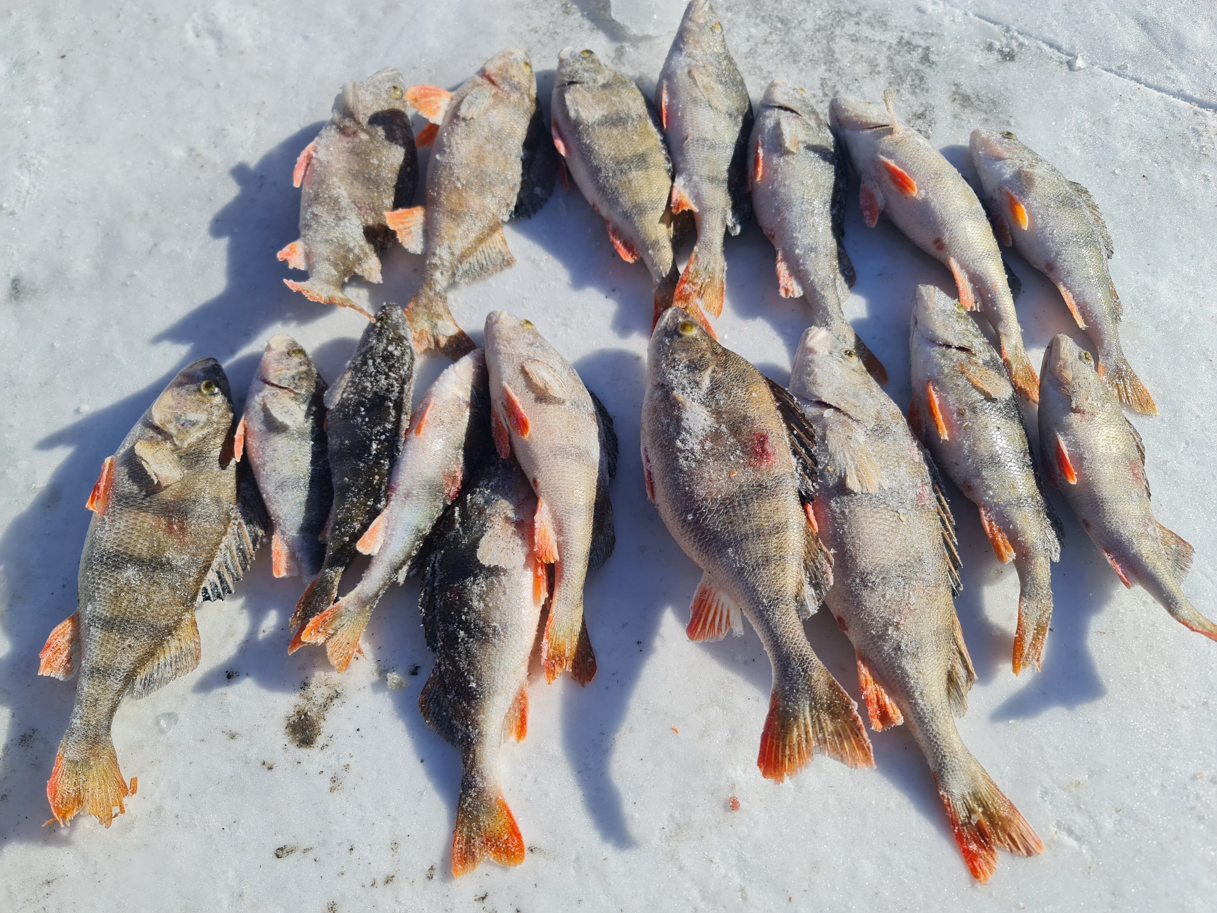 Фото Три Берега Болгар