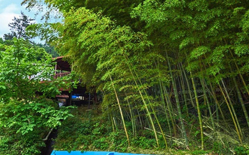 Фото Yeosu Dolsan Healing Pension