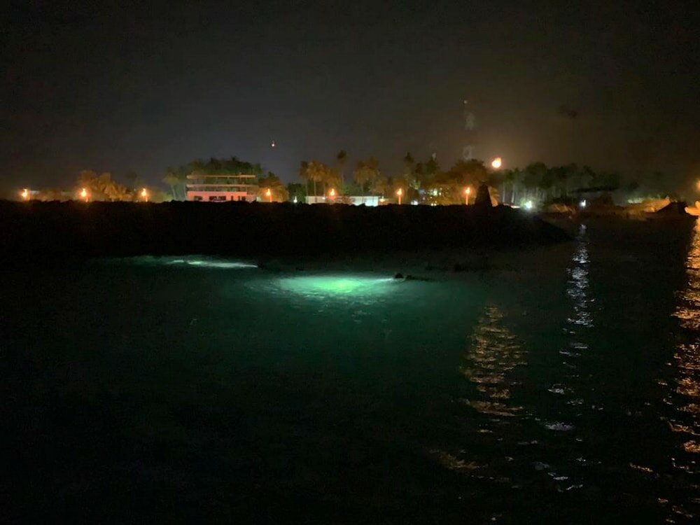 Фото Adroit Beach Inn