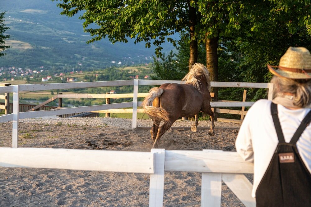 Фото Malak Farma
