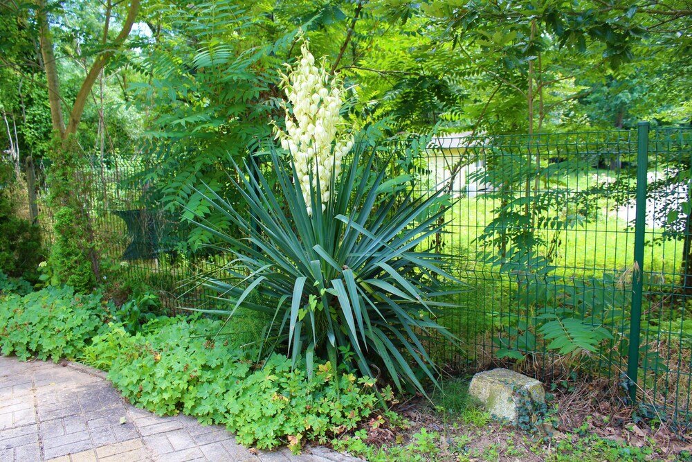 Фото Solei Apartments