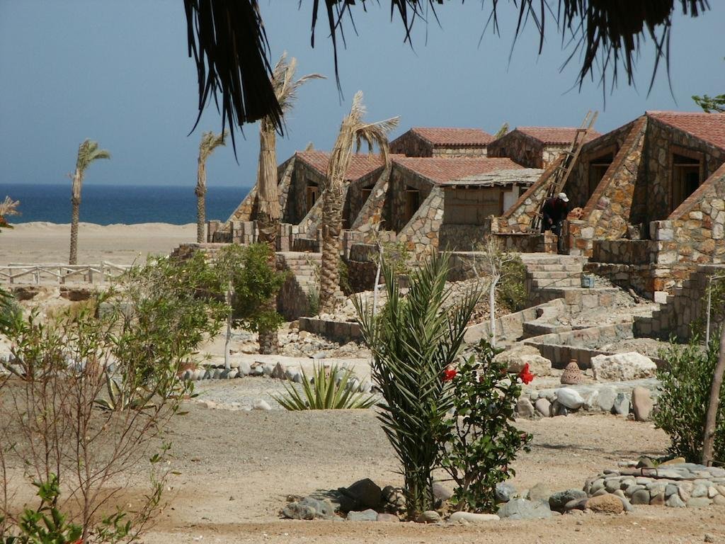 Фото Ecolodge Bedouin Valley