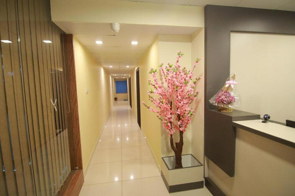 Фото New Light Executive Rooms