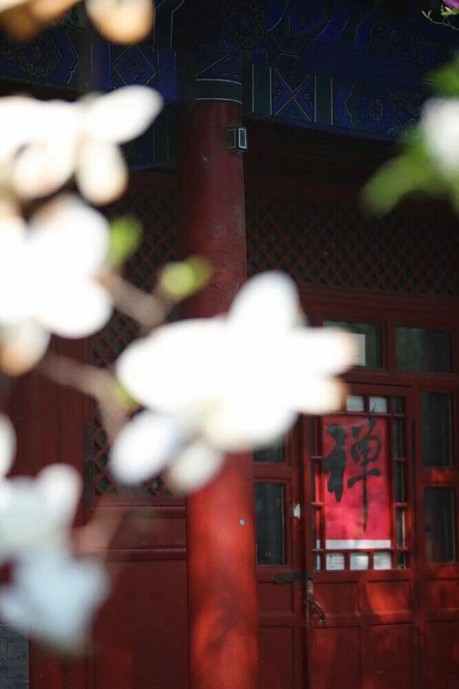 Фото East Sacred Hotel