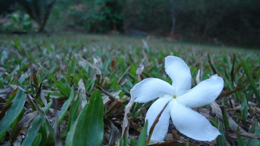 Фото Resort Beam