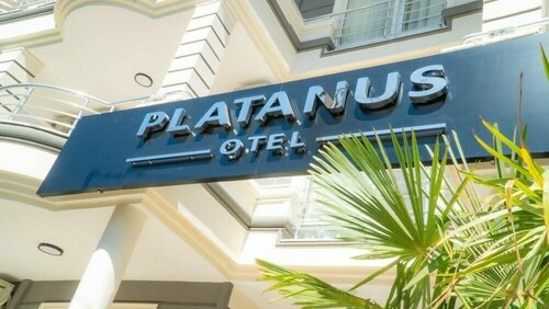  Platanus Hotel в Эдремите