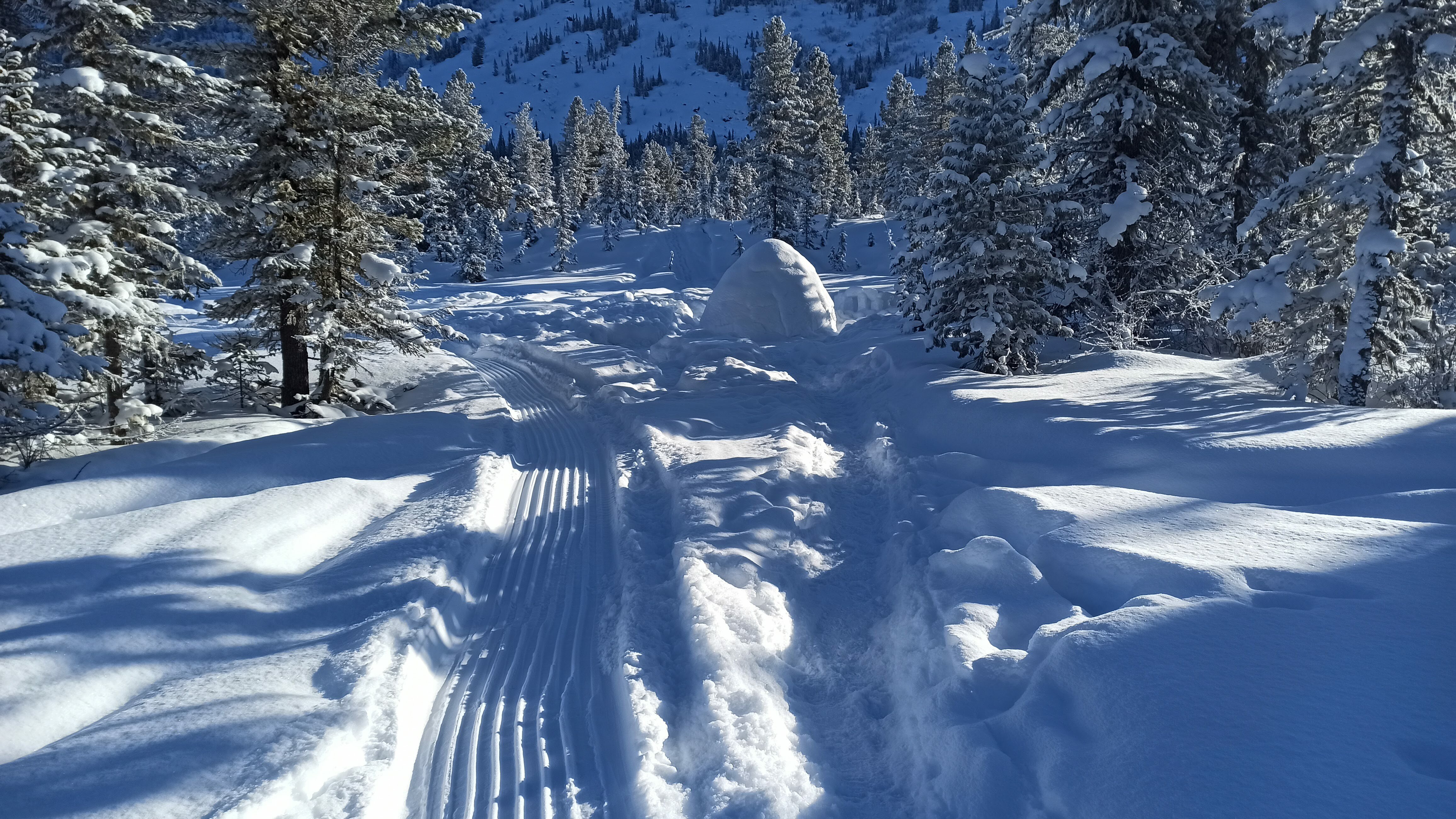 Фото Байкал Делайт