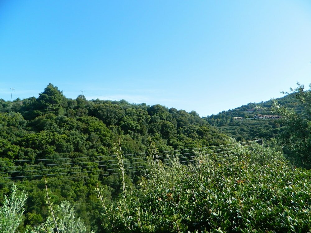 Фото Villa Levante
