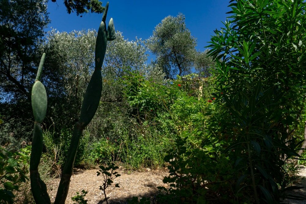 Фото Cottage Home at South Chania near Paliochora