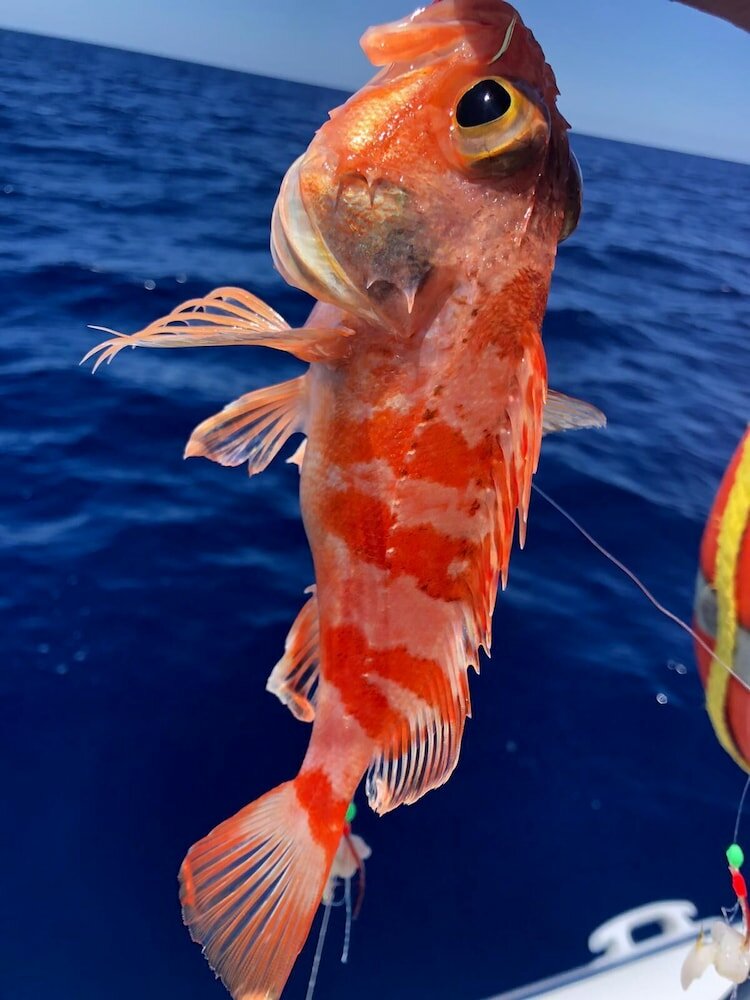 Фото B&b Filomena