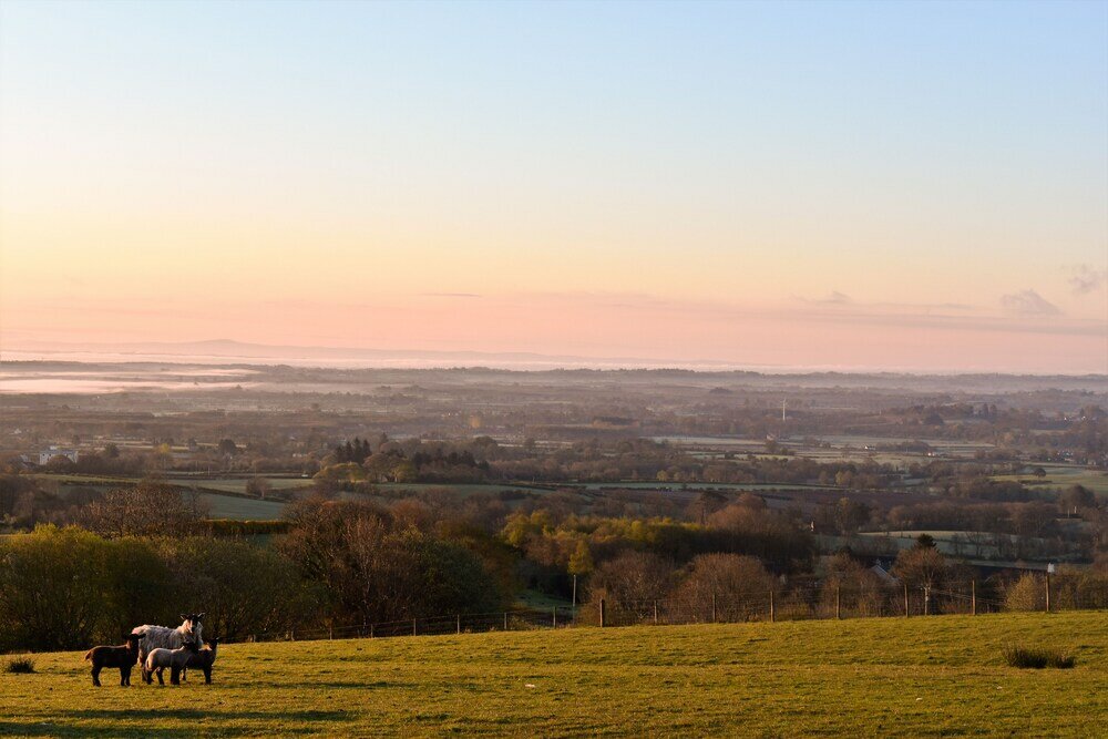 Фото Glenshane Country House
