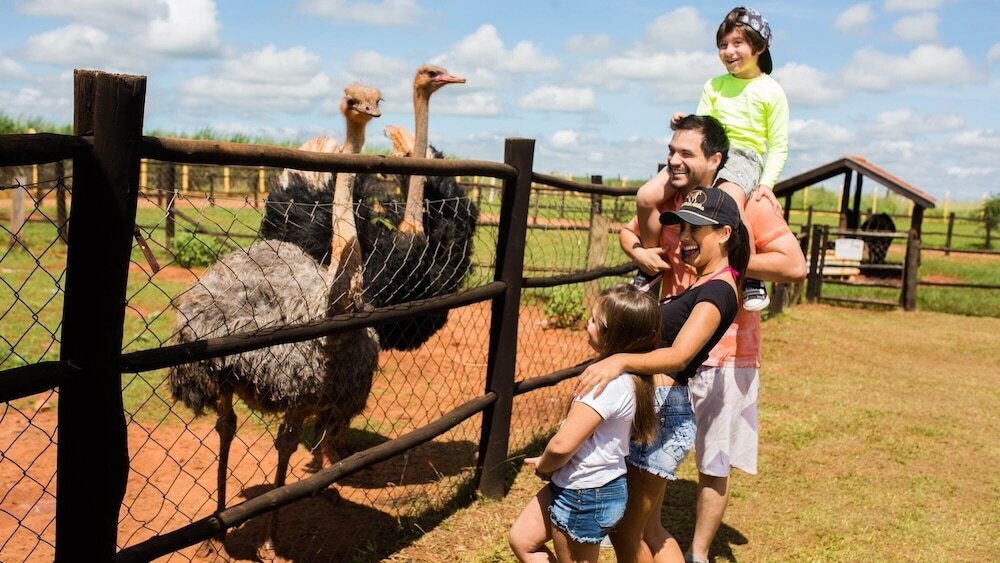 Фото Barretos Country Resort