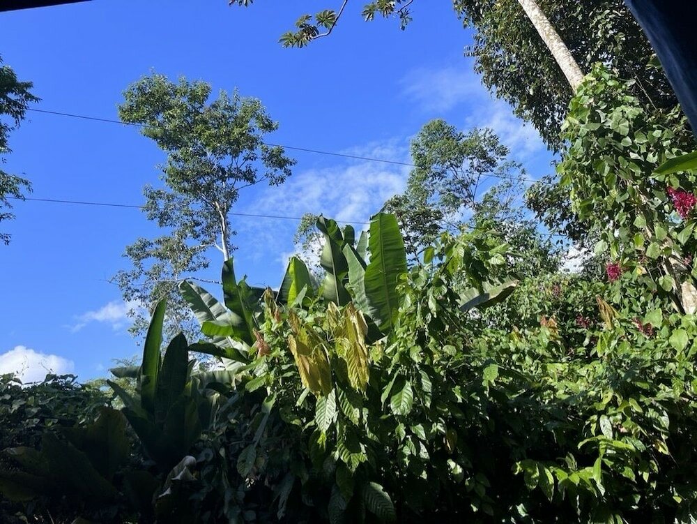 Фото Chilamate Rainforest Eco-retreat