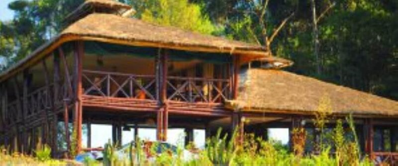 Гостиница Da Vinci Gorilla Lodge