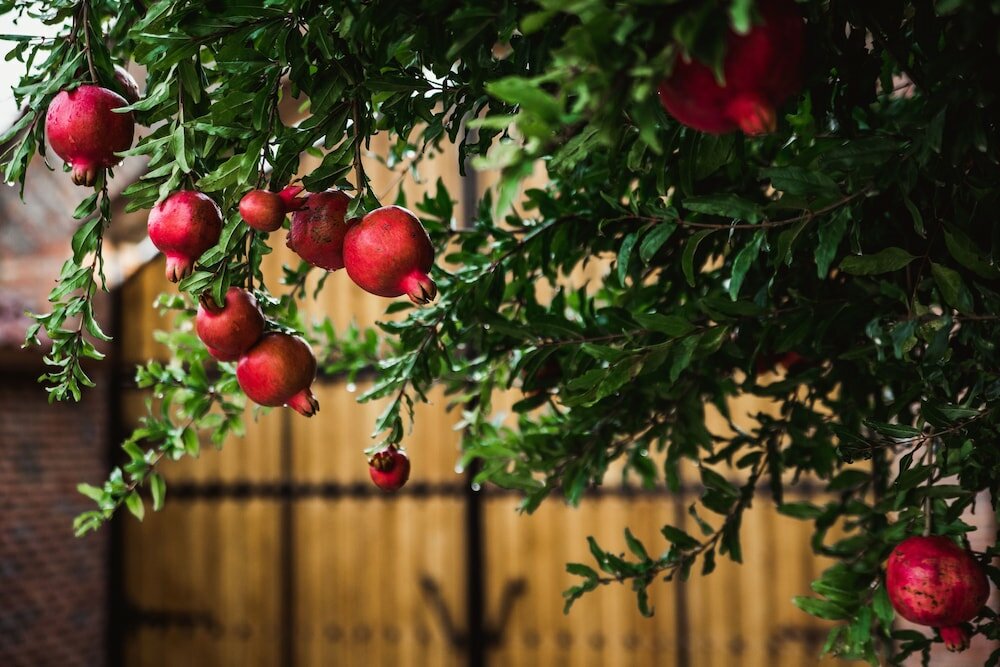 Фото My Georgian village