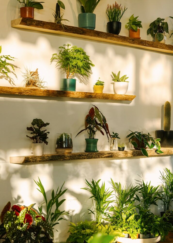 Фото Sonder Ovation