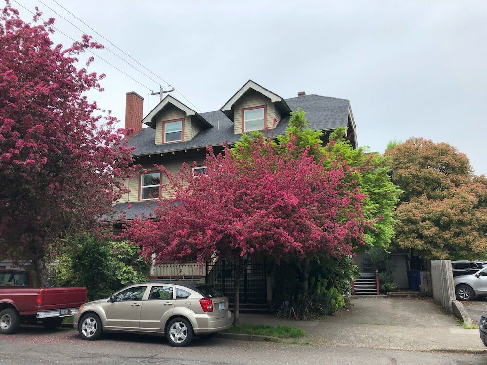 Фото Portland International Guesthouse