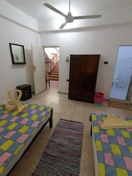 Фото Pharaonic Rose