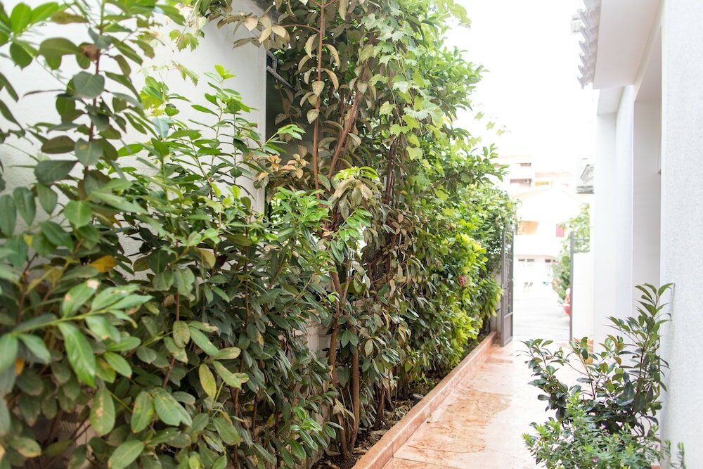 Фото Villa DiEden