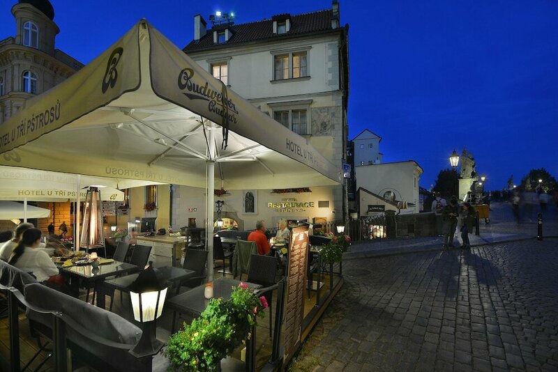 Гостиница Hotel U Tri Pstrosu в Праге